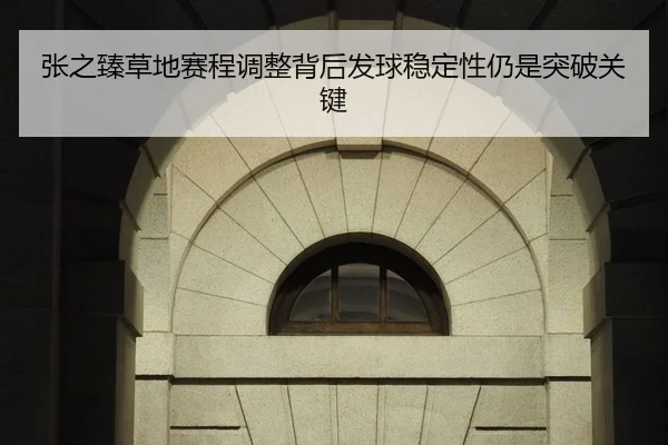 张之臻草地赛程调整背后发球稳定性仍是突破关键