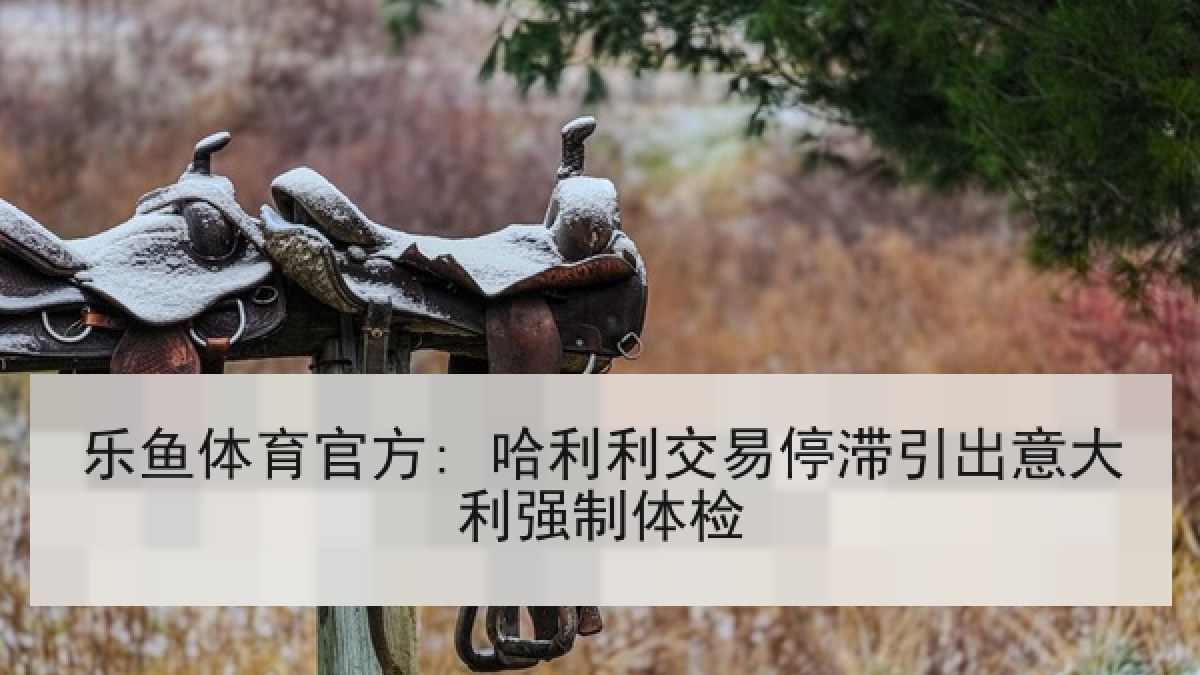 乐鱼体育官方: 哈利利交易停滞引出意大利强制体检