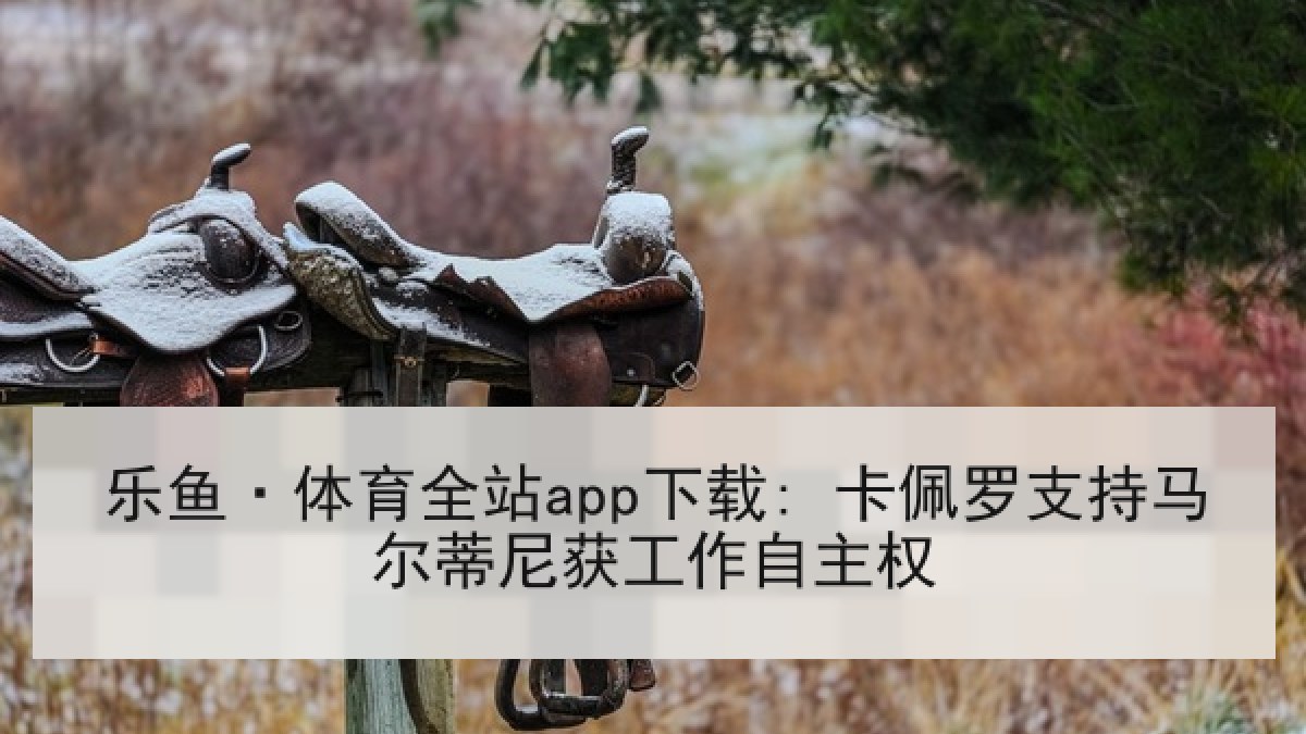 乐鱼·体育全站app下载: 卡佩罗支持马尔蒂尼获工作自主权