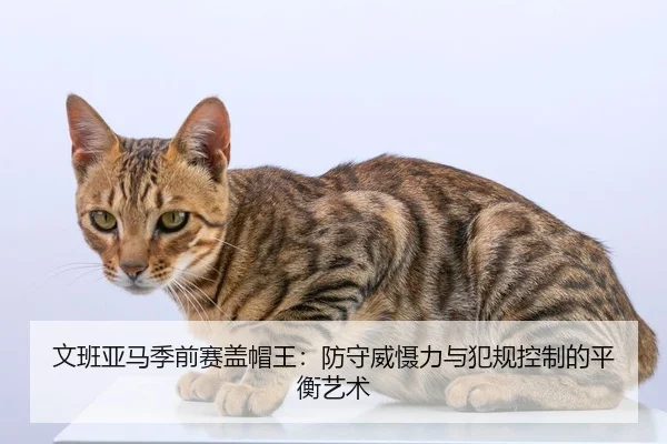 文班亚马季前赛盖帽王：防守威慑力与犯规控制的平衡艺术