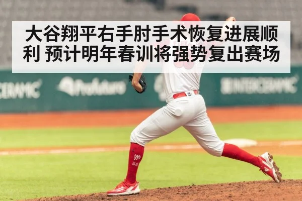 baseball pitcher rehabilitation training