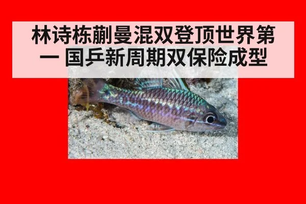 林诗栋蒯曼混双登顶世界第一 国乒新周期双保险成型